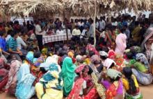 Collector Interacting with Villagers